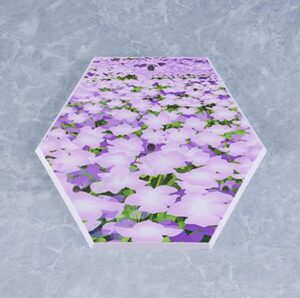 figma キャスター/アルトリア・キャスター