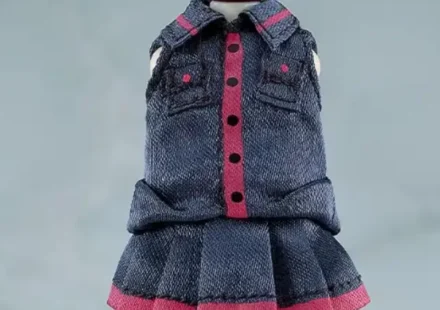 ねんどろいどどーる おようふくセット 重音テト