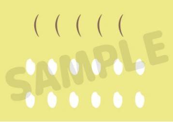 ねんどろいど 赤葦京治